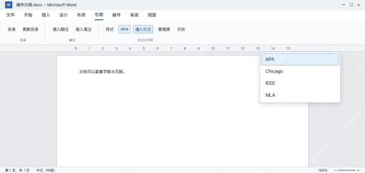 模拟 Word引用选项卡的样式列表选择APA