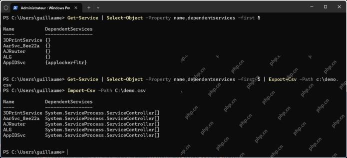 PowerShell 选择对象列并在控制台预览表格数据