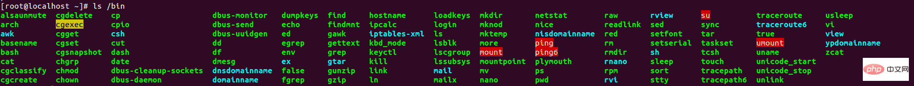 What is the directory where basic linux commands are stored?