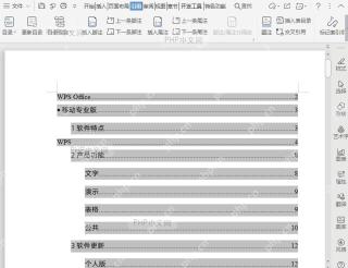 如何设置目录前导符?入口位置