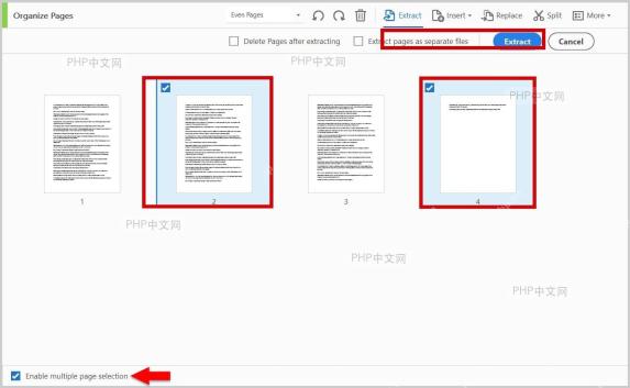 Adobe Acrobat 组织页面视图里勾选需要提取的 PDF 页面缩略图