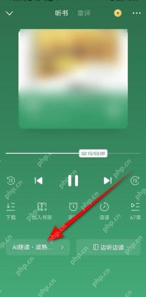 番茄免费小说听书当前朗读声音入口