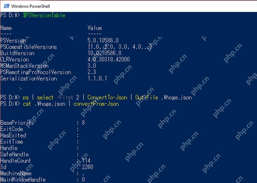 PowerShell ConvertFrom-Json 将 JSON 转换为对象并显示属性