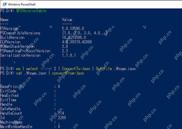 PowerShell ConvertFrom-Json 将 JSON 转换为对象并显示属性