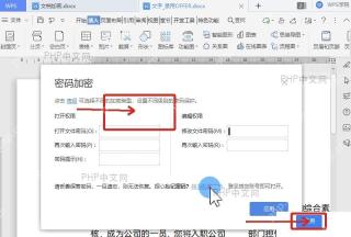 WPS 密码加密窗口应用按钮和加密保护状态用于第四步保存检查