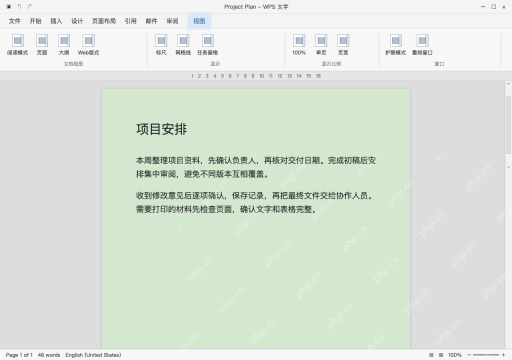 模拟 WPS完整窗口：进入视图，确认护眼模式状态