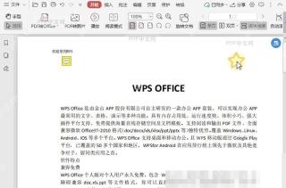 PDF如何隐藏/显示PDF注解的详情框?入口位置