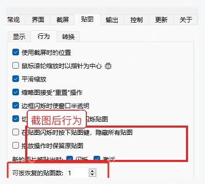 Snipaste Windows 首选项截图页中与截图后行为相关的设置