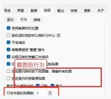 Snipaste Windows 首选项截图页中与截图后行为相关的设置