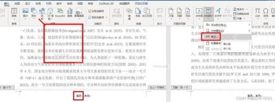 Word插入页码样式与页码字段