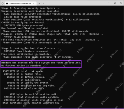 Windows 终端中 chkdsk 完成并显示 Windows has scanned the file system and found no problems
