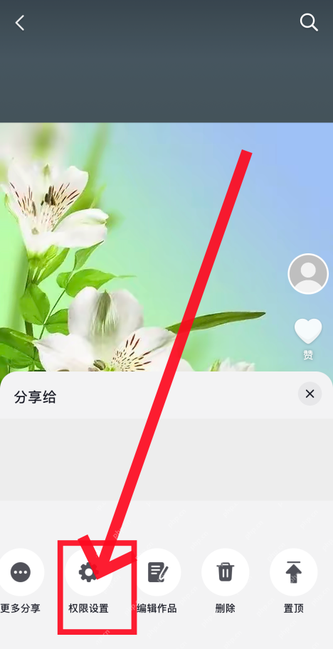 抖音作品操作面板中的权限设置入口
