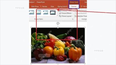PowerPoint 选中图片后出现图片工具格式选项卡