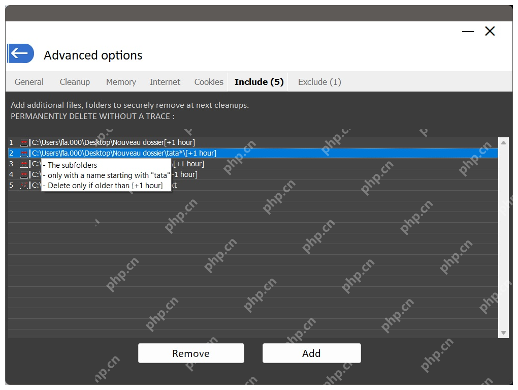 PrivaZer 自定义路径列表显示 Add 和 Remove 按钮。