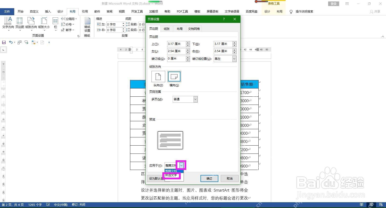 Word 页面设置窗口中应用于所选文字的范围选项