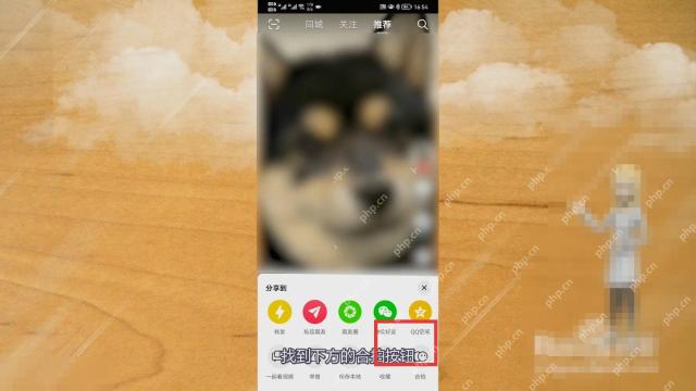 抖音合拍功能在哪里打开:抖音分享面板底部的合拍入口。