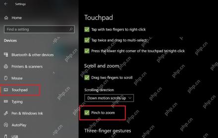 Win10 触摸板滚动和缩放区域中 Pinch to zoom 被勾选