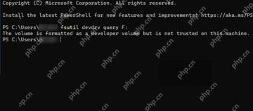 Windows PowerShell 运行 fsutil devdrv query 并显示 Dev Drive 在本机尚未受信任