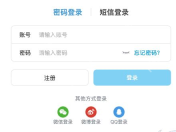 哔哩哔哩密码登录空表单的账号栏、密码栏及忘记密码入口