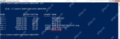 Windows PowerShell 正常显示包含中文名称的文件和文件夹