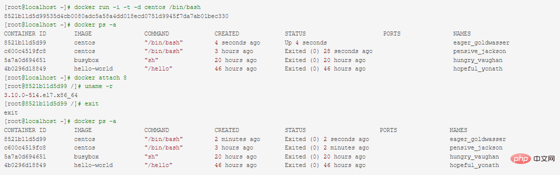 Docker container does not stop exiting