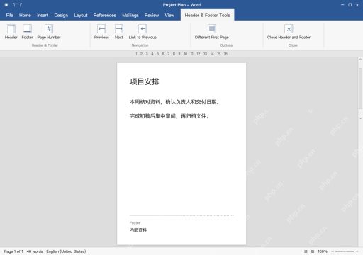 模拟 Microsoft Word完整窗口：进入页脚，输入固定说明