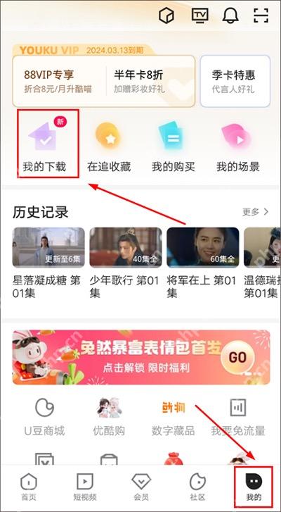 优酷中文手机App个人页显示底部我的已选中并出现我的下载入口,证明进入个人页的步骤