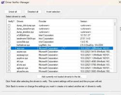Win11 驱动程序验证器管理器显示可验证驱动列表