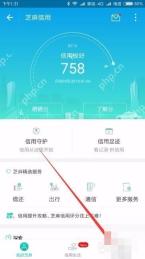 支付宝中文界面：进入信用管理，对应步骤：打开芝麻信用页后，再点右下角“信用管理”。这一步只是进入管理页，不能直接证明已经看到授权列表。