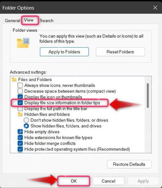 Windows 文件夹选项中 Display file size information in folder tips 设置项