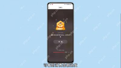 拼多多消费勋章详情和进度说明_拼多多怎么查看自己的等级_拼多多账户等级查看说明 - php中文网