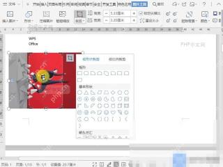 Word如何按比例裁剪文档图片?设置效果