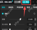 音频标签下可检查音量后再导出