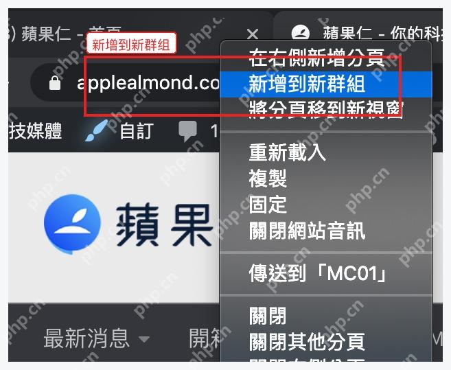 Chrome 标签页右键菜单中的新增到新群组选项