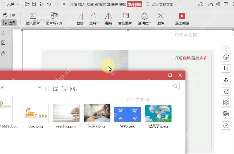 如何替换插入PDF文件中的图片？中间操作