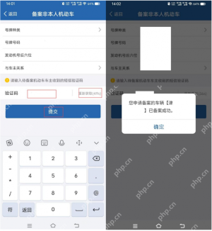 填写第二辆车资料和验证码并提交备案
