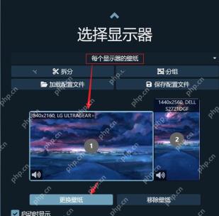 Wallpaper Engine Displays 窗口显示两个显示器用于分别配置壁纸