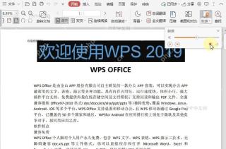 如何调整PDF朗读功能的语速?中间操作