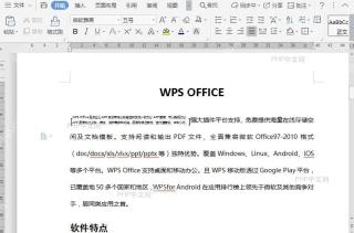 WPS如何设置文档双行合一?结果检查