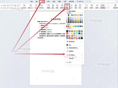WPS文字页面选项卡中的背景按钮