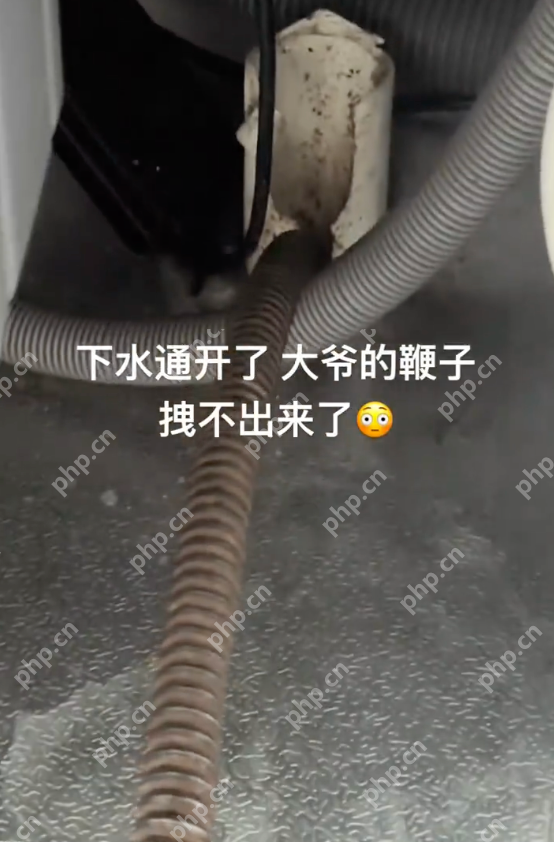 建议不要将肉汤倒进下水道,别让一碗肉汤,变成你家下水道的“定时炸弹” - php中文网