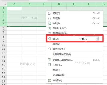WPS表格右键菜单中选择插入并设置行数