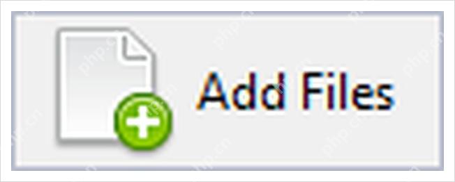 ReNamer 的 Add Files 按钮用于导入多个文件。