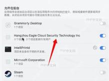 登录项列表中显示的软件名称,部分名称可能包含‘安全’、‘security’、‘safe’等关键词。