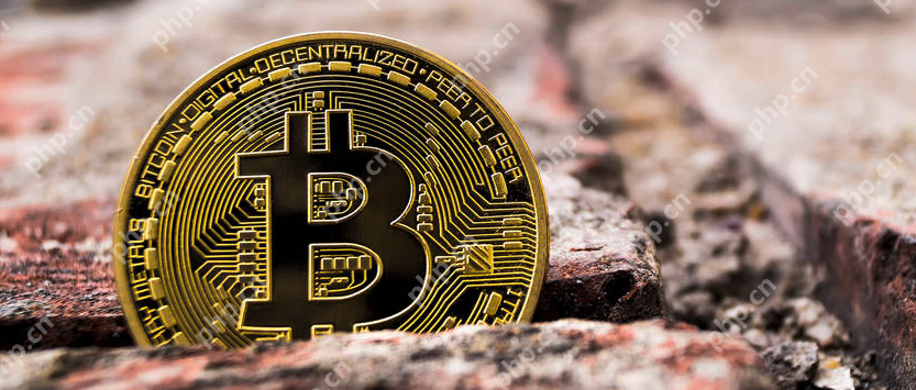 btc清算地图哪里看？ - php中文网