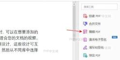 PDF编辑器主界面显示已打开的文档，可见文档内容和顶部菜单栏