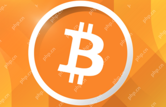 BTC获取途径大全_一文教你如何获取BTC - php中文网