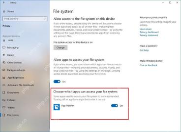 Win10 File system 页面按应用设置文件系统访问开关
