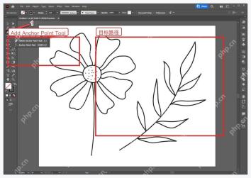Illustrator 钢笔工具菜单中的 Add Anchor Point Tool