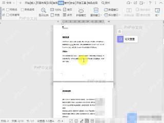 Word单页视图显示效果